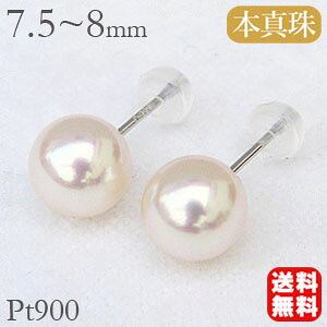 y10%OFF 12/11 1:59܂Łzp[ sAX p[sAX ^sAX X^bhsAX fB[X ^  AR {^ 7.5mm-8mm v`i  ig tH[} JWA ۏ؏t 