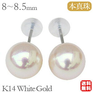 y|Cg10{zp[ sAX ^sAX X^bhsAX ^  AR 8mm-8.5mm k14 14k 14 zCgS[h fB[X Vv   V @ Zj[  