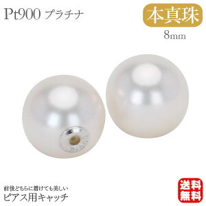 y10%OFF 12/11 1:59܂Łzp[ sAX p[sAX pt900v`i p[Lb` sAXpLb` sAXLb` Lb` p[ ^  AR {^ 8mm fB[X ۏ؏t 