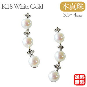 y|Cg10{z18 p[ sAX 18k 18k ig C[Jt ^ {^ 3.5-4mm _Ch zCgS[h yA k18 C[Jt C[JtX Ԃ牺  h v[