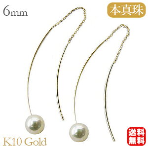 y10%OFF 12/11 1:59܂Łzp[ sAX 10 10k 10k ig ^ ^ {^ _uJ[u O tbN CG[S[h yA  Ԃ牺  lC  JWA 