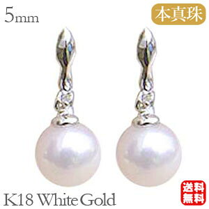 y|Cg10{zp[sAX 18 p[ sAX 18k 18k ig {^ _Ch 5mm k18 zCgS[h yA Ԃ牺  h  lC  JWA v