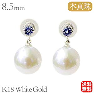 y܃|Cg10{Izp[ sAX 18 18k 18k zCgS[h ig JWA p[sAX yA ^UiCg {^  AR 8.5mm  h fB[X 