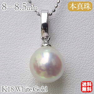 �y�|�C���g10�{���z�p�[�� �y���_���g�g�b�v �N���b�J�[ k18 18k 18�� �z���C�g�S�[���h ������ �A�R�� �{�^�� 8-8.5mm �������� �l�C �������� �J�W���A�� ���i�g�� �v���[���g �M�t�g �W���G��