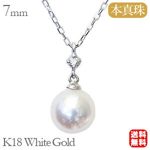 y|Cg10{z^ lbNX p[ lbNX ^ {^ k18 zCgS[h _Ch 1 v0.01ct `F[40cmt  JWA gh v[g Mtg W