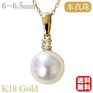 y|Cg10{z^ lbNX p[ lbNX VvȐ^́ {^ k18 CG[S[h _Ch pAYL`F[ AWX^[Jt ^  lC JW