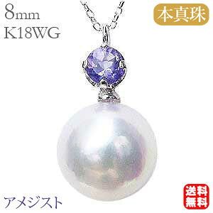 y|Cg10{zlbNX fB[X AWXg ^ p[ ^ {^ 8mm zCgn AYL`F[ 2̒a   JWA gh v[g Mtg 