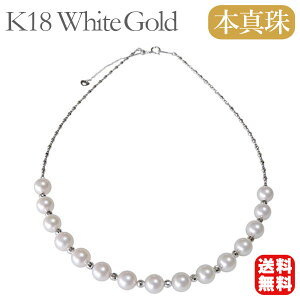 y10%OFF 12/3 20zlbNX {^ k18zCgS[h 7mm Xe[V `[J[ fB[X AR earl ۏ؏t   tH[} uC_  