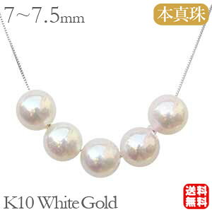 y10%OFF 12/11 1:59܂Łz^ lbNX p[ lbNX X[ {^ zCgS[h xl`A`F[  fB[X  Zj[ tH[} JWA lC