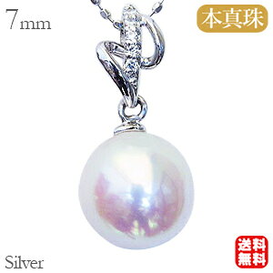 p[ y_g ^ y_g p[y_g ^y_g lbNX L[rbNWRjA Vo[ 925 fB[X  lC  v[g Mtg WG[ 