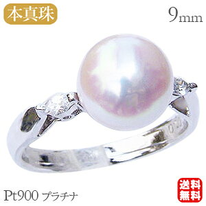 y|Cg10{zp[ O v`i pt900 ^w {^  AR fB[X _Ch uC_    JWA v[g Mtg WG[ u