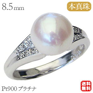 p[ O v`i pt900 ^ w {^  AR fB[X _Ch  uC_ ۏ؏t P[Xt lC  v[g Mtg WG[ nEB