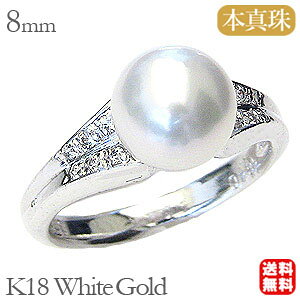 p[ O p[O ^ {^ _Ch zCgS[h 8mm AR p[O  ۏ؏t  lC  v[g Mtg WG[ n