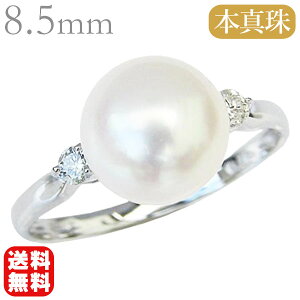 y|Cg10{ 9/12 20zp[ O v`i ^w {^  AR 8.5mm _Ch fB[X Y jZbNX jp WF_[X   v[
