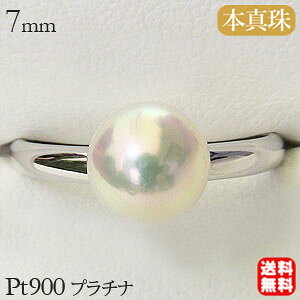 y|Cg10{Izp[ O v`i pt900 ^ w {^  AR  uC_ ۏ؏t P[Xt  lC  JWA v[g Mtg WG