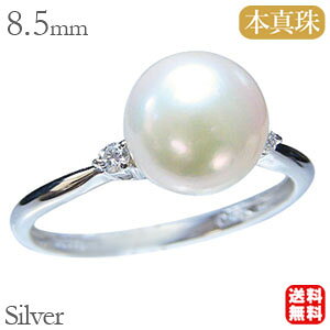 �y�|�C���g10�{���z�p�[�������O �^�� �w�� ������{�^�� �V���o�[ �L���[�r�b�N�W���R�j�A ���f�B�[�X �������� �l�C �������� �J�W���A�� �g�����h �t�H�[�}�� �v���[���g �M�t�g �W���G