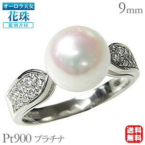 p[ O v`i pt900 ^ w {^  AR I[V Ԏ _Ch  I[Vӕʏt ۏ؏t   v[g Mtg WG[ n