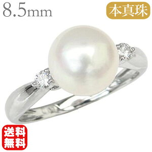y|Cg10{ 9/11 1:59܂Łzp[ O p[w ^ {^  AR 8.5mm _Ch 18k k18 18 zCgS[h fB[X jZbNX jp WF_[X 
