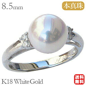 y10%OFF 12/3 20zp[ O ^ ^ _Ch zCgS[h  ۏ؏t P[Xt   gh v[g Mtg WG[ NX}X