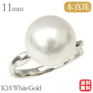 y|Cg10{zp[ O O w m^ p[O ^ zCgS[h lC  JWA gh tH[} v[g Mtg WG[ ubNtCf