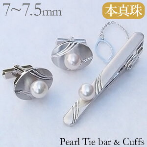 y|Cg10{z^ p[ ^Co[ JtX Zbg {^ 7-7.5mm Y lC  JWA gh v[g Mtg WG[ ubNtCf[