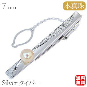 p[ ^Cz_[ ^ p[ ^Csilver ^Co[ Vo[  lC  JWA gh v[g Mtg WG[ ubNtCf[