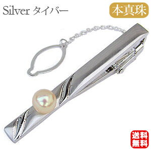 p[ ^Cz_[ ^ p[ ^Csilver ^Co[ Vo[  lC  JWA gh v[g Mtg WG[ ubNtCf[