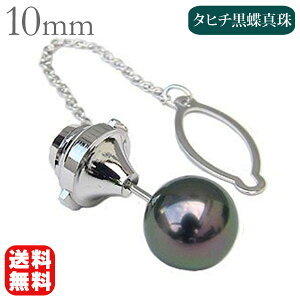 y܃|Cg10{IzlN^Cs v`i pt900 ^Cs ^C^bN ^^Cs p[^Cs p[^C^bN ^^C^bN ubNp[ ^ ^q`^ 10mm 