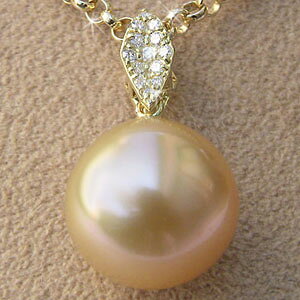 y|Cg10{zm^ y_ggbv k18 lC  JWA gh v[g Mtg WG[ ubNtCf[