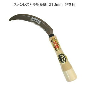 ԏ|@Xe\n@210mm@t@n@eڋ@z@@ɕ@uŔQ̐؂ꖡI