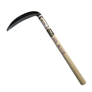 {@ʓ{@Œb@|t@n@195mm@؂ꖡō̔n@yʂyX