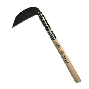 {@抙E@Œb@q@150mm@330mm@n̋Zɓ`@`̐؂ꖡ #143058