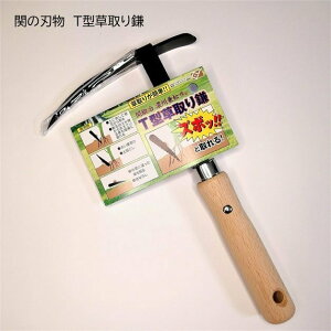 {@ւ̐n@T^抙E芙@T-1C@@#145193