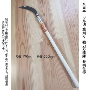 ʓ{@c؁E@͖\@170mm@600mmOؕ@SKN-11@R؍̂芙@拘@wt@`̐؂ꖡ