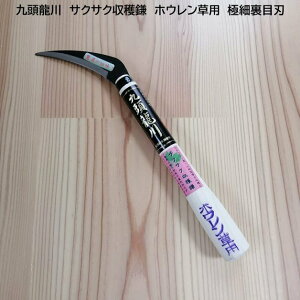 㓪@TNTNn@zEp@85mm@{g^@ɍחڐn@n@`̐؂ꖡ