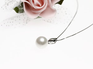 yP10{N[|Iiz^X₽܂ {^ ꗱp[lbNX 嗱11-12mm zCgJ[   Ǝ w p[sAX or p[u[`Ή {