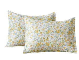 YOYOSTARJo[ 43x63cm 2g GKgЂt sP[X h_j R hL  ԕ 