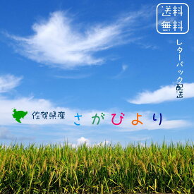 【選べる精米／白米・玄米・分づき米】 佐賀県産 さがびより 2合 ( 300g ) ×7 ※2合 (300g) ごとに小分け包装 令和7年 送料無料 食味ランキング 「特A」受賞 15年連続受賞 九州の米 粒が大きめ 2.1kg