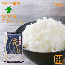 【選べる精米／白米・玄米・分づき米】 元気つくし 5kg（5k×1袋） 福岡県産 送料無料 令和7年産 2025年産 [免疫力アップ／玄米・分づき精米対応可] 白米 お米 おこめ 美味しい米 お米5kg 5キロ ブランド米