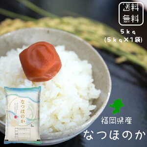 新米 令和7年 送料無料 福岡県産 なつほのか 白米 5kg (5kg×1袋) 5kg お米5kg 5キロ