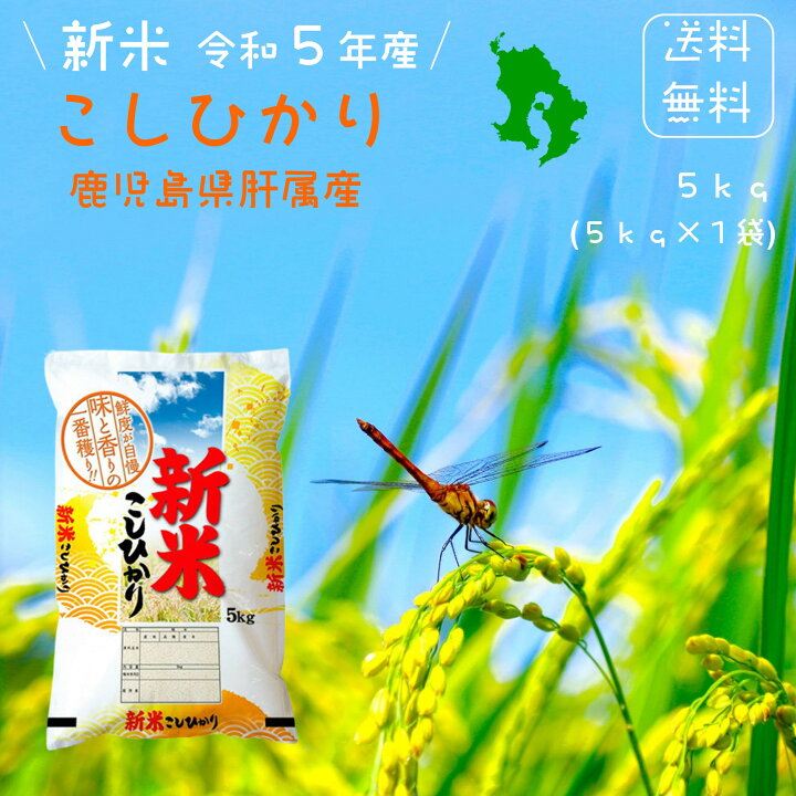 楽天市場】令和5年 送料無料 コシヒカリ 5kg（5k×1袋） 鹿児島県産 令  