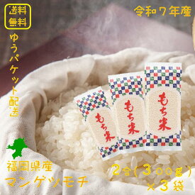 【もち米】 マンゲツモチ 小分け2合袋 0.9kg（300g×3袋） 福岡県産 送料無料 令和7年産 2025年産 もち米0.9kg 0.9キロ