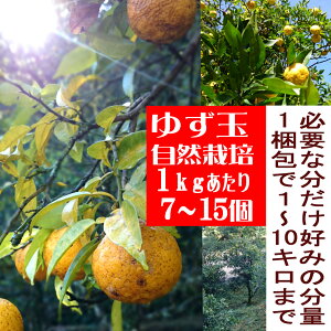 䂸1kg~Dȕʃ^CvIĔImYi1kg7`15j_F͔|ԒsgpjJeSi䂸ʁ@Y@Mq@@Y䂸@YMq@R͔|@@VR