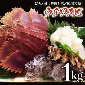 v[g`XIE`GrYuԗⓀIiTCYj@1000ghgOKi5`8C@3`4lOjʌI@@m@y̍@Lv@BBQ@E`Gr@CV@Gr@Zb^@