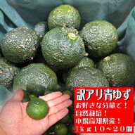 もぎたて出荷！訳アリ青ゆず玉1kg～分量タイプ！レビュー記入で1kgおまけ！高知県産（青ゆず玉10〜20個）…