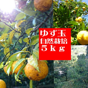 䂸5kg ďoׁImmŶ䂸30`70ji_F͔|ԒsgpjJeSi@䂸@Y@Mq@Y䂸@YMq@R͔|@@VR@ʏ`@@A