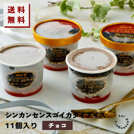 #シンカンセンスゴイカタイアイス （ベルギーチョコレート） 11個入り 送料無料 アイス アイスクリーム 夏 ギフト 内祝い プレゼント 土産 お取り寄せ スイーツ スジャータ チョコ チョコレート 誕生日 お中元 お歳暮 暑中 残暑 見舞い
