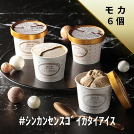 #シンカンセンスゴイカタイアイス（モカ） 6個入り 送料無料 アイス アイスクリーム 夏 ギフト 内祝い プレゼント 土産 お取り寄せ スイーツ お菓子 新幹線 スジャータ モカ 鉄道 JR 母の日 父の日 誕生日 お中元 お歳暮 暑中 残暑 見舞い