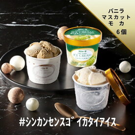 #シンカンセンスゴイカタイアイス（詰合せ）6個入り（バニラ2+シャインマスカット2+モカ2）送料無料 アイス アイスクリーム 夏 ギフト 内祝い プレゼント 土産 お取り寄せ スイーツ スジャータ 誕生日 お中元 お歳暮 暑中 残暑 見舞い