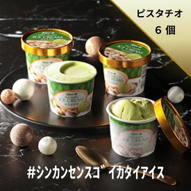 #シンカンセンスゴイカタイアイス （ピスタチオ） 6個入り 送料無料 アイス アイスクリーム夏 ギフト 内祝い プレゼント 土産 お取り寄せ スイーツ 新幹線 スジャータ ピスタチオ JR 母の日 父の日 誕生日 お中元 お歳暮 暑中 残暑 見舞い